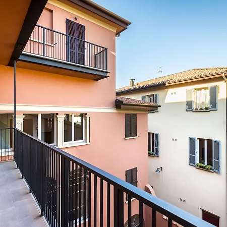 Design Club Collection *