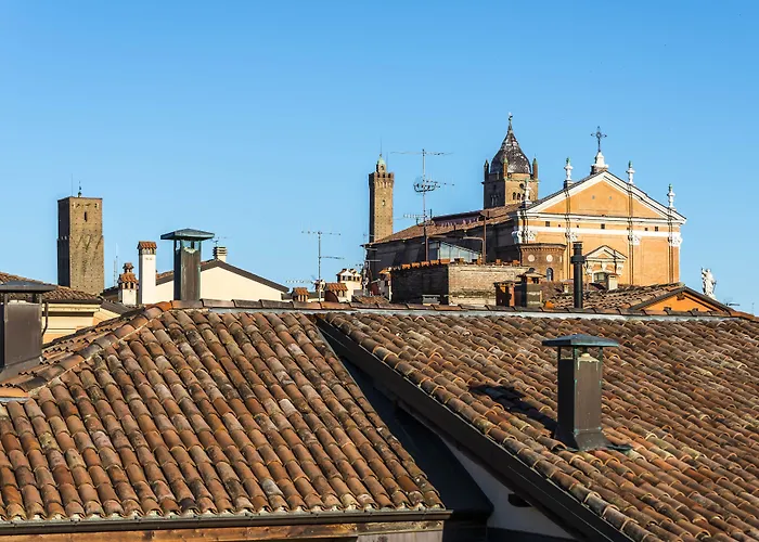 Design Club Collection Daire